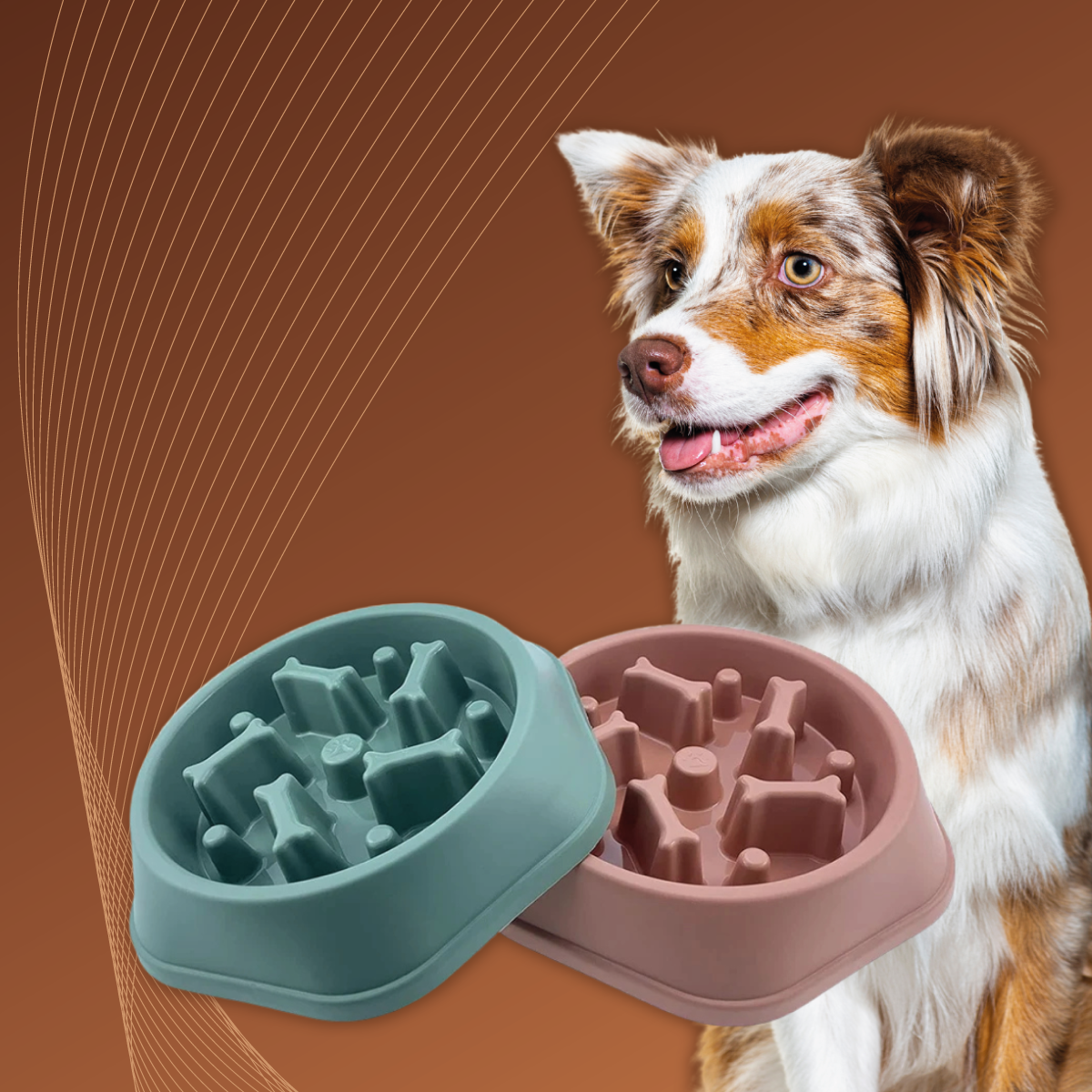 Ciotola antisoffocamento per cani e animali domestici