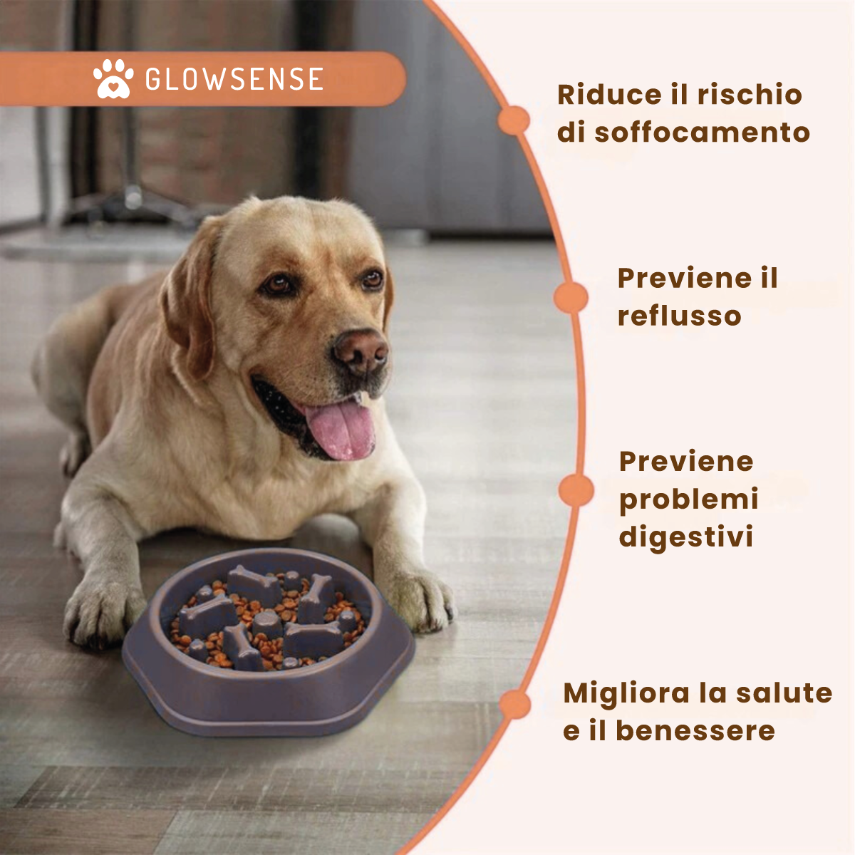 Ciotola antisoffocamento per cani e animali domestici