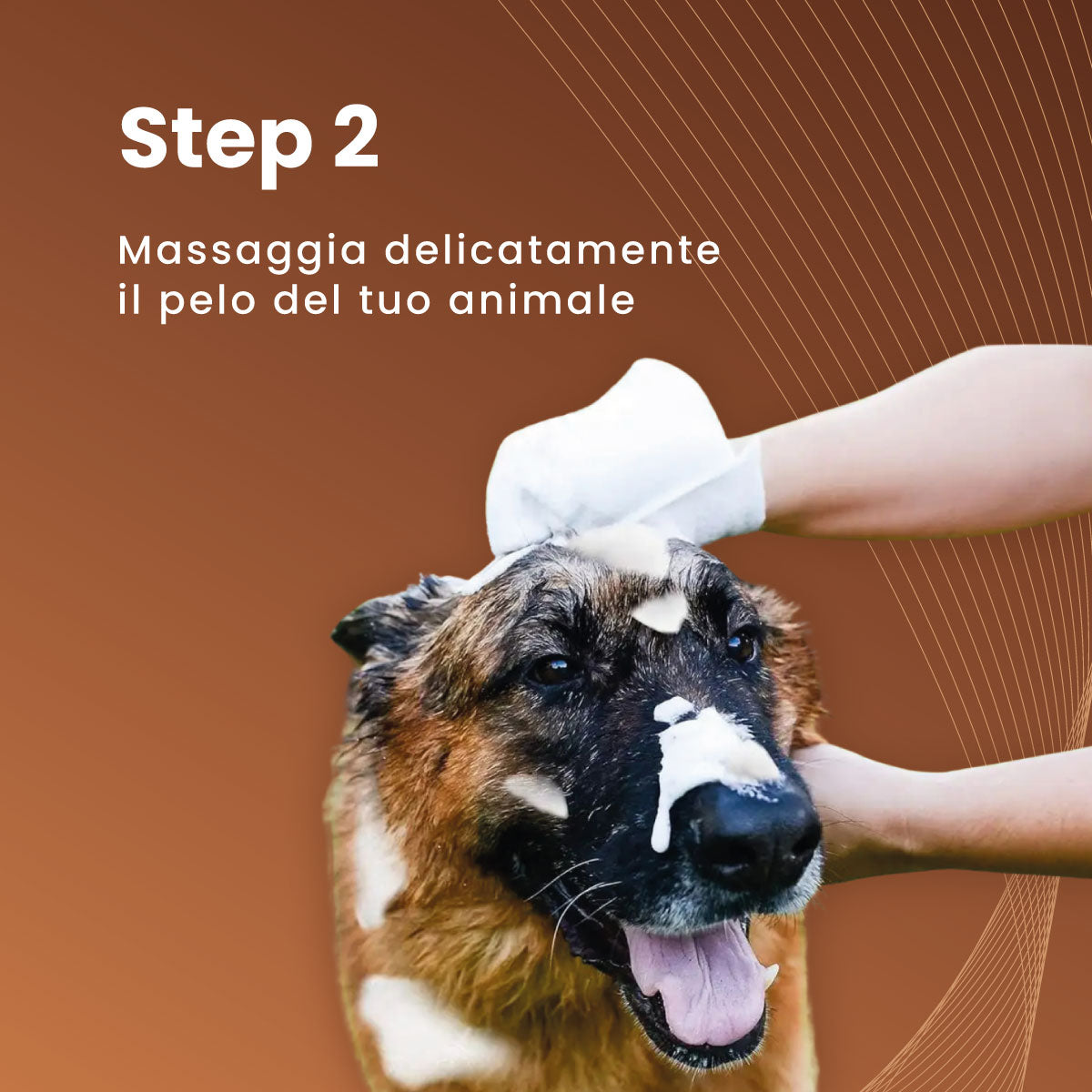 Guanti saponati per cani - Lavaggio Ipoallergenico senza Risciacquo